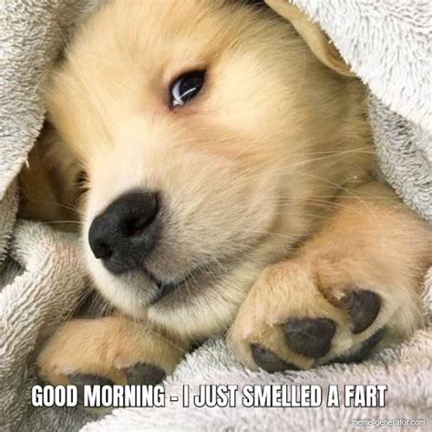 fart in the morning